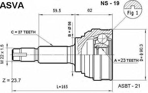 NS-19