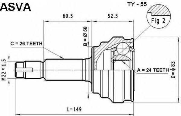 TY-55
