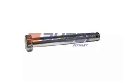 54019