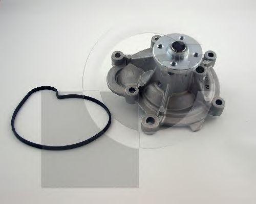 CP7136T