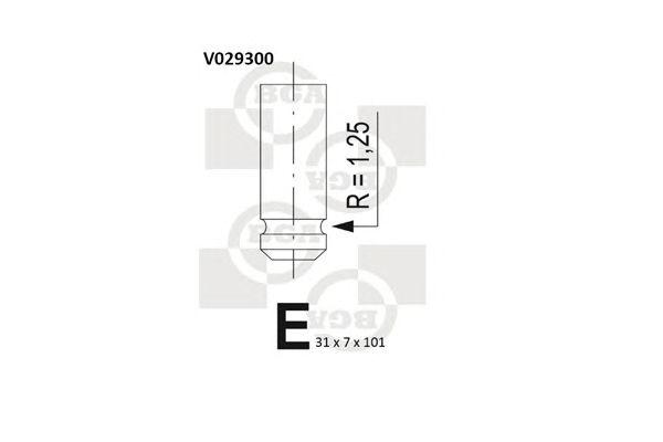 V029300