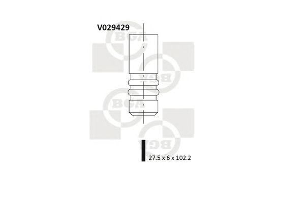 V029429