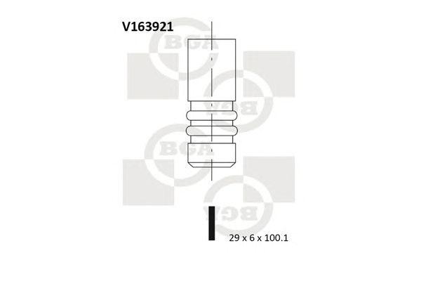 V163921