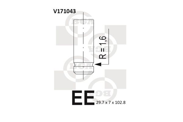 V171043