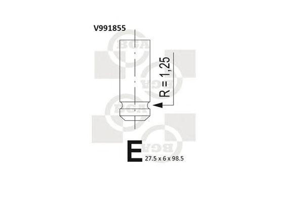 V991855