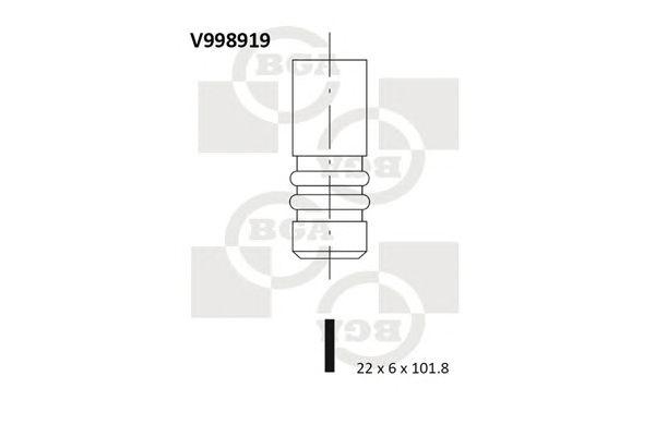 V998919