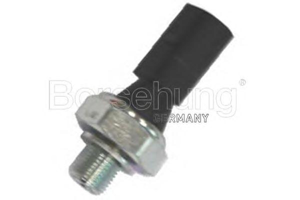B13138