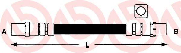 T 06 005