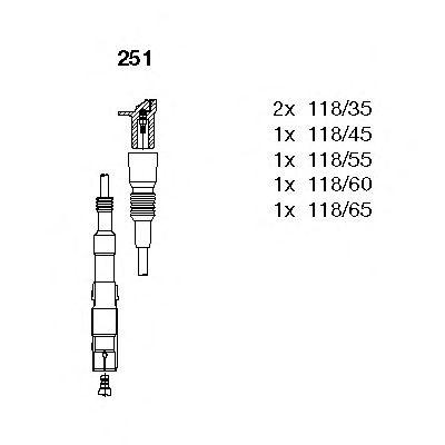 251