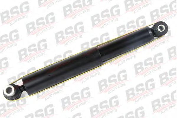 BSG 30-300-010