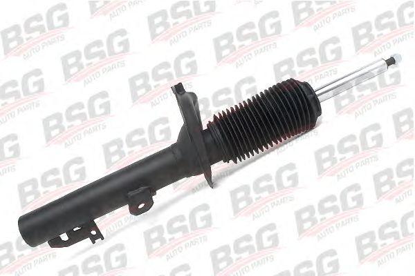 BSG 30-300-011