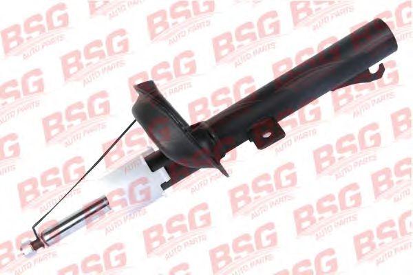 BSG 30-300-020