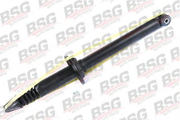 BSG 30-300-024
