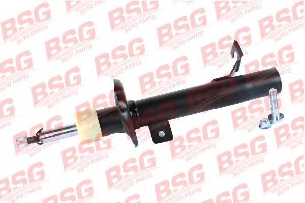 BSG 30-300-027