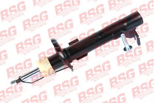BSG 30-300-028