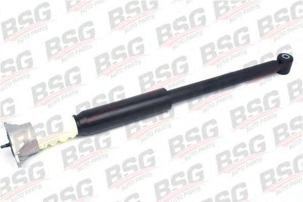 BSG 30-300-029
