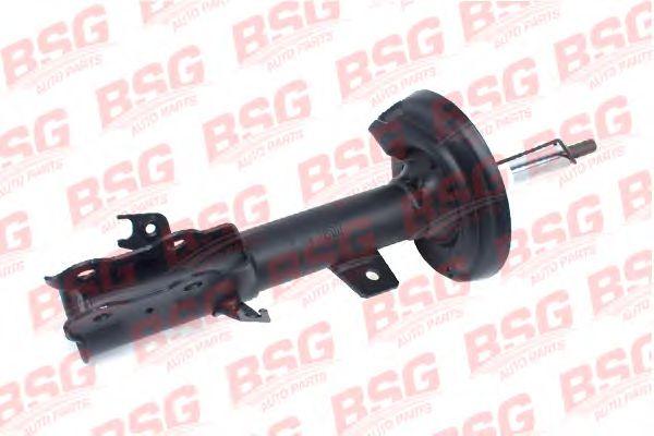 BSG 30-300-031