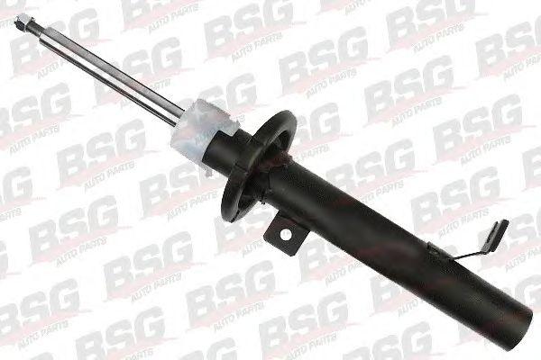 BSG 30-300-043