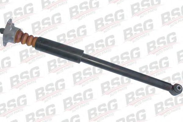 bsg 30-300-045