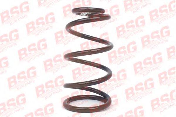 BSG 30-305-005