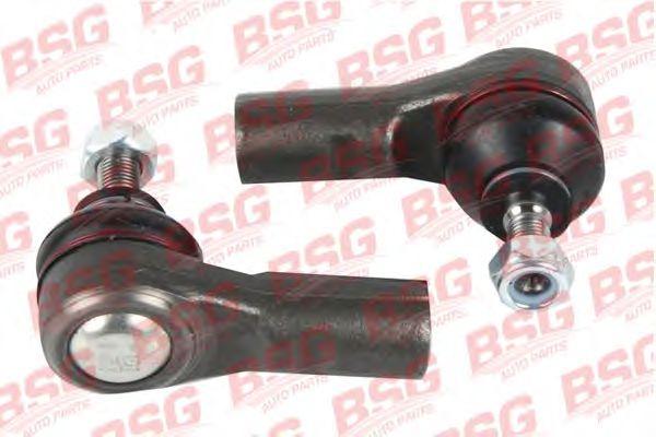 BSG 30-310-001