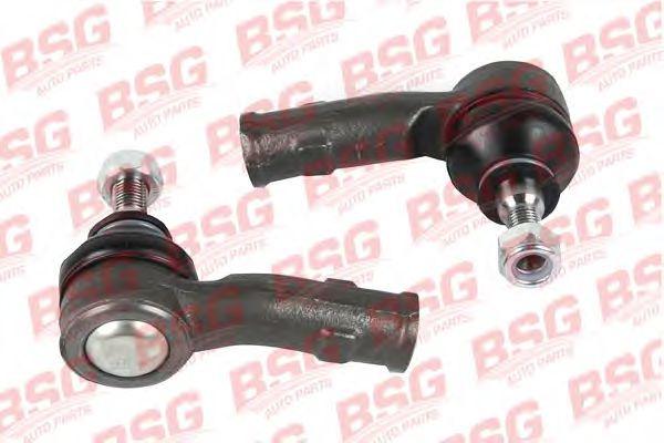 BSG 30-310-005