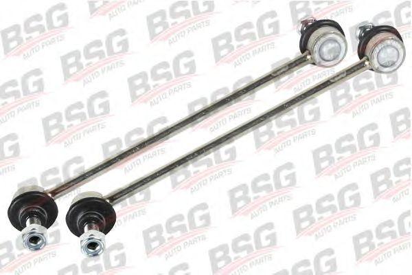 BSG 30-310-009