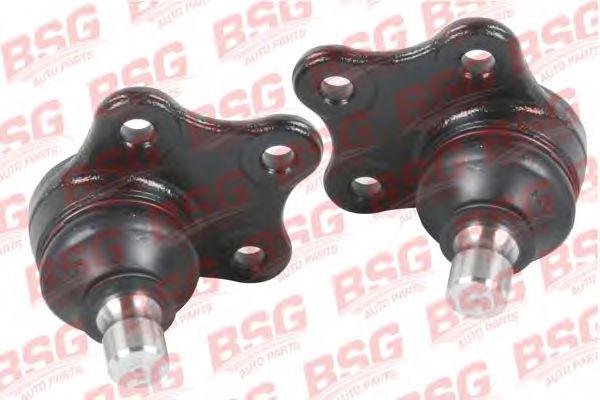 BSG 30-310-016