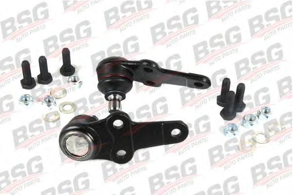 BSG 30-310-021