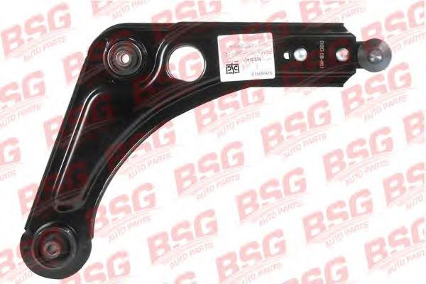 BSG 30-315-001