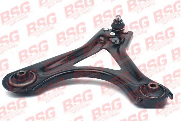 BSG 30-315-004