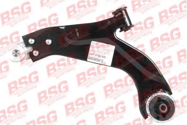BSG 30-315-006