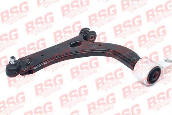 BSG 30-315-012