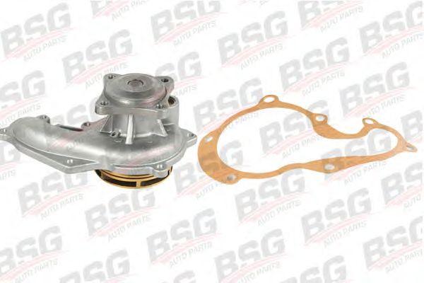 BSG 30-500-013