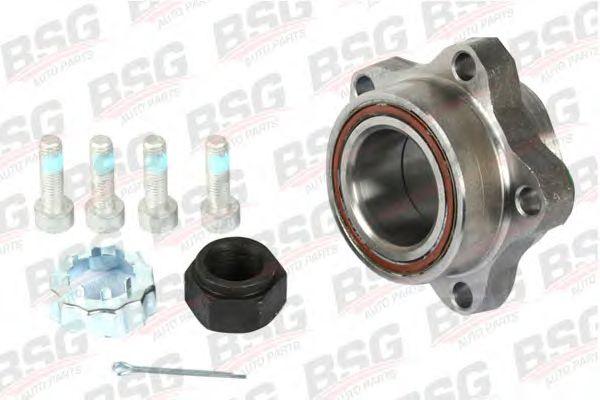 BSG30600006