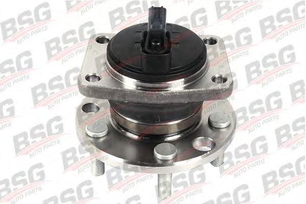 BSG30600008