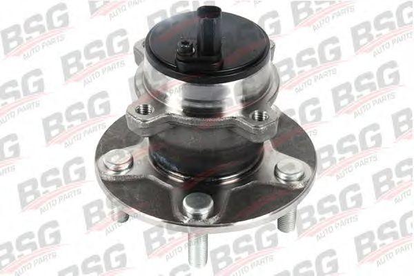 BSG30600011