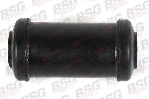 BSG 30-700-009