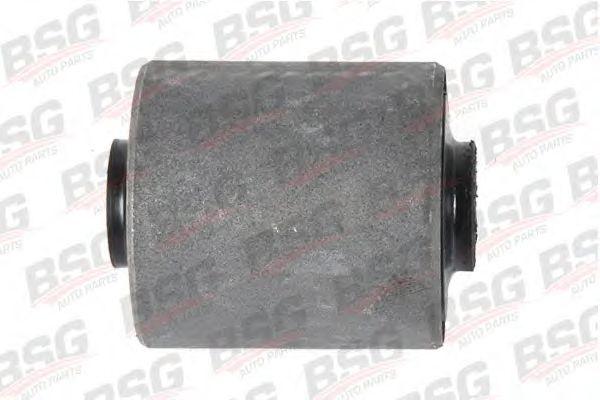 BSG 30-700-015