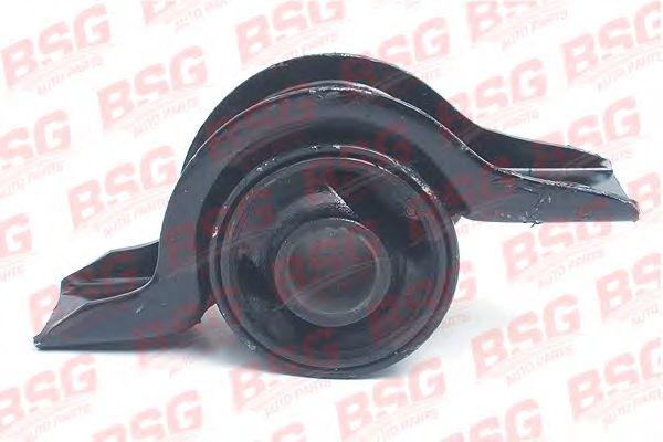 BSG 30-700-204