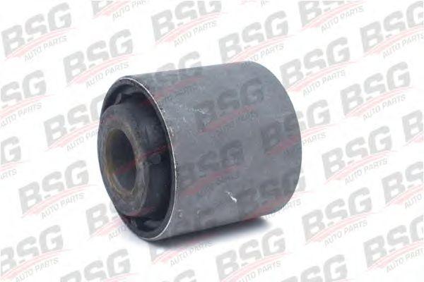 bsg 30-700-212