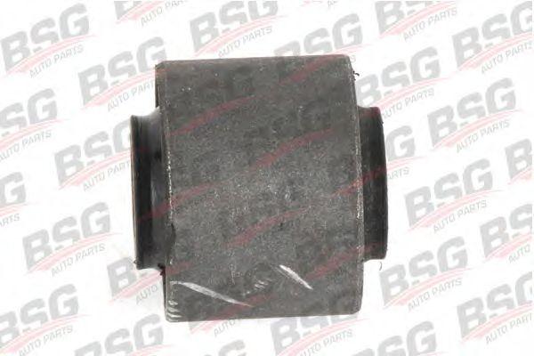 BSG 30-700-213