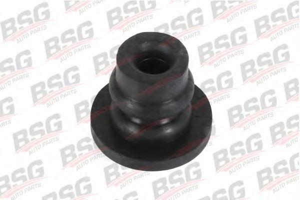 bsg 30-700-273