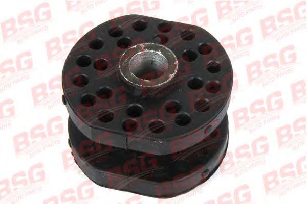 BSG 30-700-276