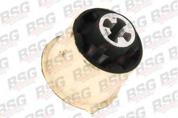 bsg 30-700-309