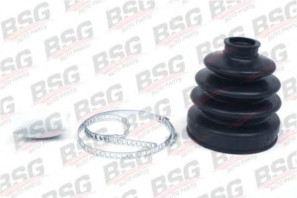 BSG 30-700-311