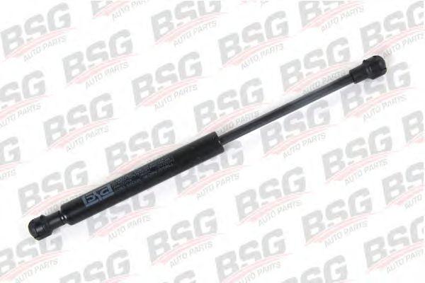 BSG 30-980-001