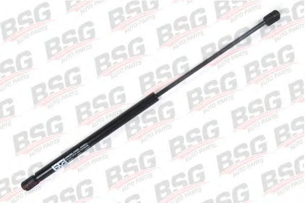 BSG 30-980-003