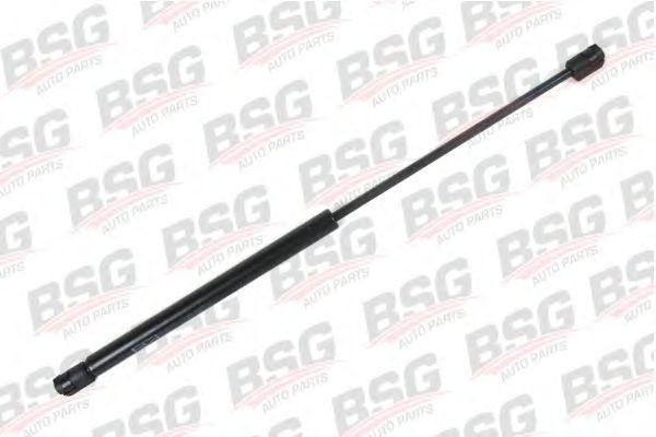 BSG 30-980-004