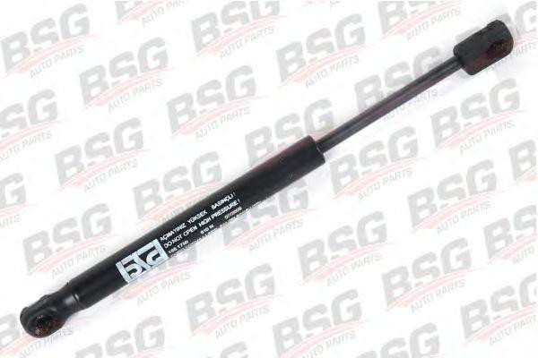 BSG 30-980-005